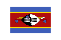 america_flag